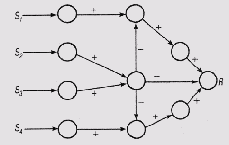 ������ ������� ������ �������������� ������������ ������������ ���������