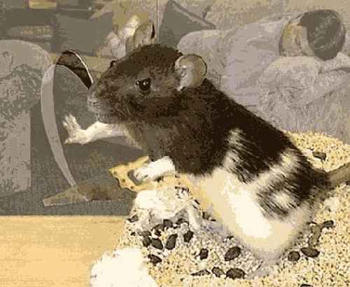 ����� �� ���� � 64-������ ��������