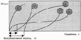 ������������ ����������������