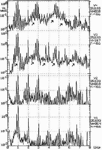 ������������ ����������������