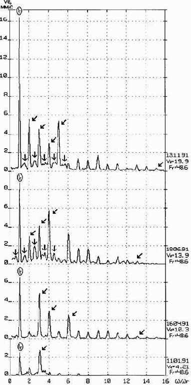 ������������ ����������������