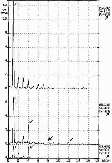 ������������ ����������������