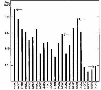 ������������ ����������������