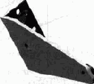 ������� ������ � ����������� ���������