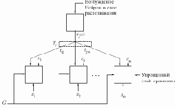 Функционирование сети APT в процессе классификации