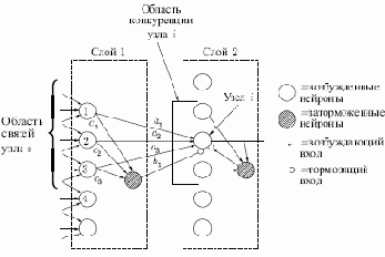 Обучение когнитрона