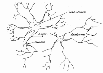 ������������� ��������