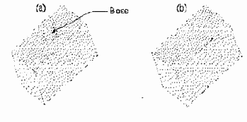 �������� �����