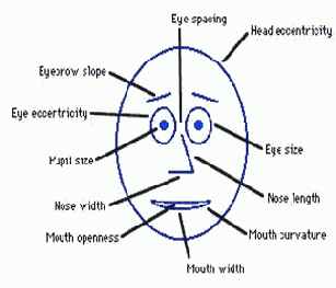 ���� �������