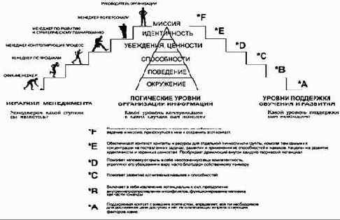 ��� -���������� ���������� ������� � ����� 