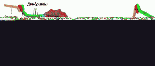 ������ �����