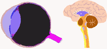 ��������������� ������� �������