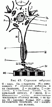� 1. ���������� ������� ������