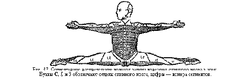 � 3. ������� ������� ������