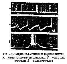 � 4. �������� ������� �������