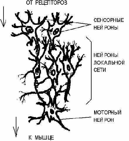 ��������� ����.