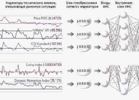 ��������� �������� ����������� ������������ �������