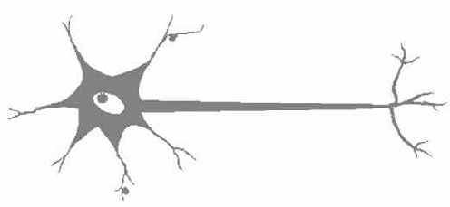 ������������� ��������� ����