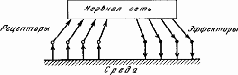 ������� ����