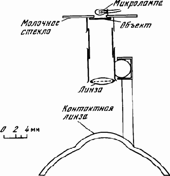 ������� ������� �������