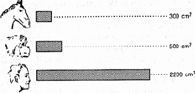 ���������� �������