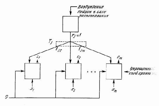 Функционирование сети APT в процессе классификации