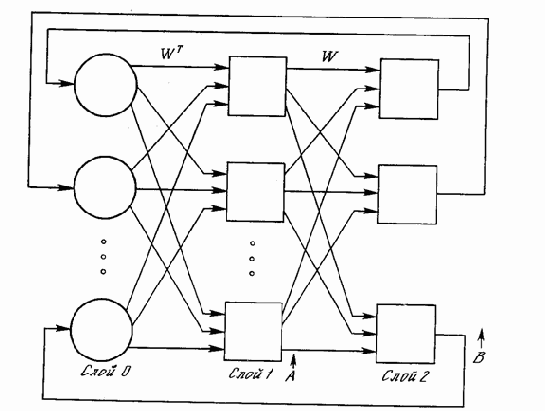 СТРУКТУРА ДАП