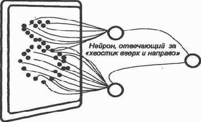 ������ ��������