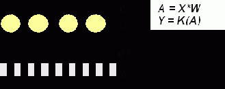 ����������� ���������������