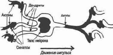 ������ �����