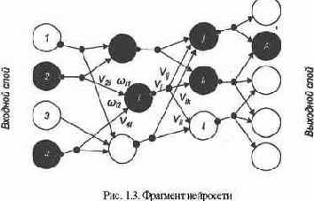 �������� ��������� ��������� ����������� 