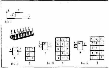 ������ �����