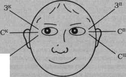 ��������� ������������ ������