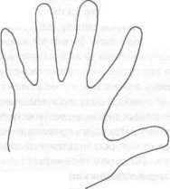 ������������ ������