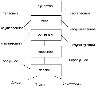 �������� �. �. - ������