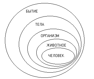 �������� �. �. - ������