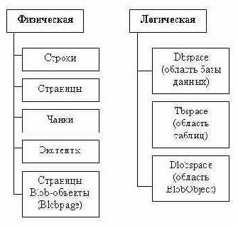 ������ ���������� ����������� ������ ��� ����������� �����������