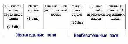 Оба эти поля имеют размер