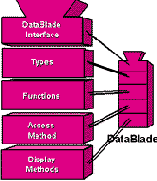 ������ DataBlade