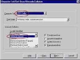 Предварительные действия и настройки (Microsoft SQL Server )