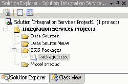 ���� Solution Explorer