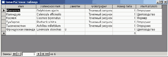 � ������� ������� �� ������� ���� ������� ��� ������ � �������� ���������