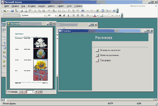 ����� ������ � ������� ��������� �����