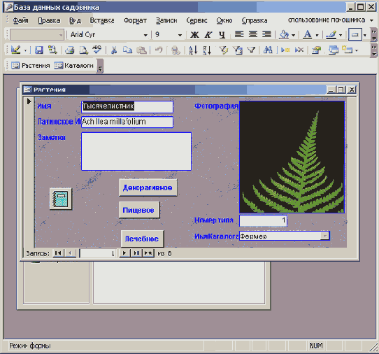 ��� �������� ����� �������� �� ������, ������������� �� ����� ������ ������������