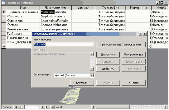�������� ���� ����������� �� ������ �����, ������������� � �������