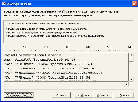 Шестое диалоговое окно Мастера импорта текстов