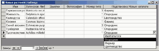 ���������� ������� ������ �������������� ���� � ������� �������������