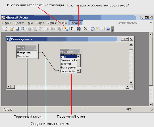 ���� ����� ������