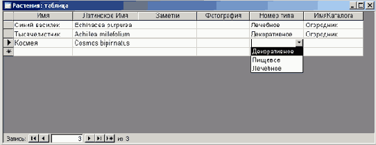 ����������� ��������������� ������ ���� �����������