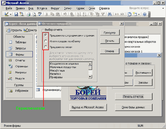 ����� ������ ��������